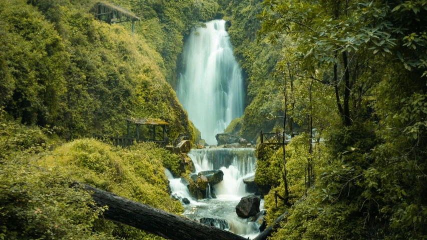 a view of a small waterfall in the forest