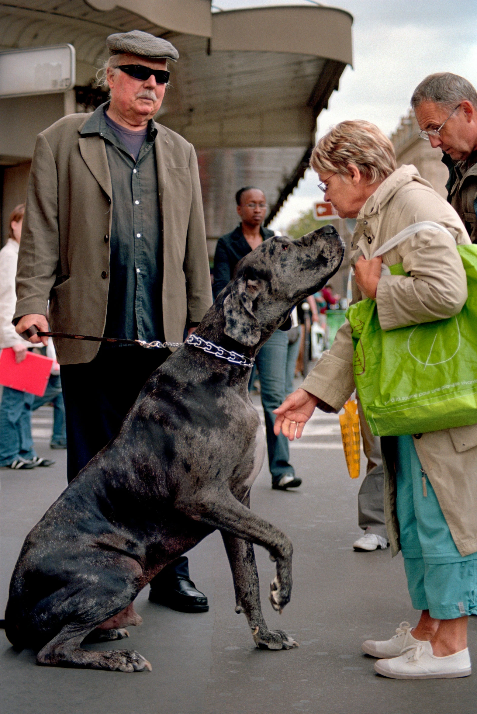 a dog is getting out of the mouth and his owners are looking at him