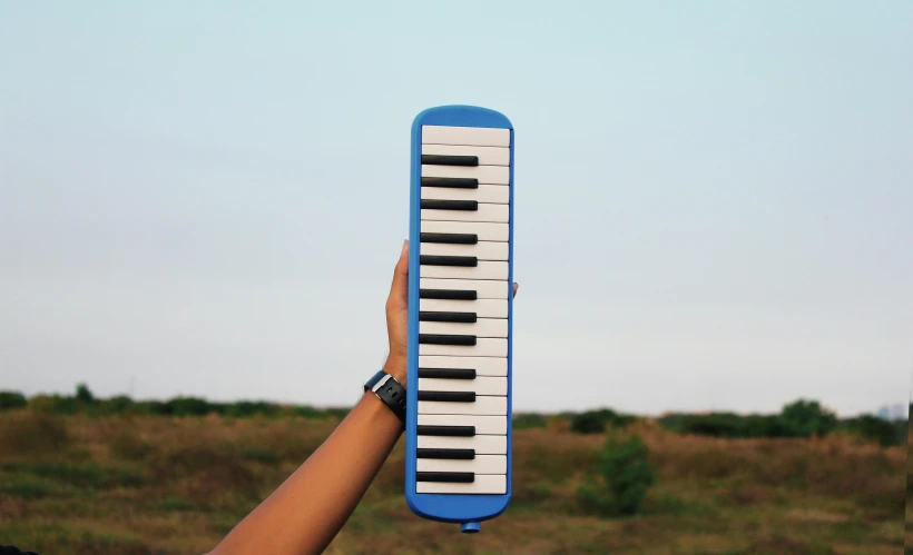 a person holding up a piano near a grassy area