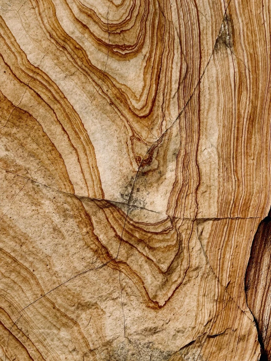 an image of wood grain pattern