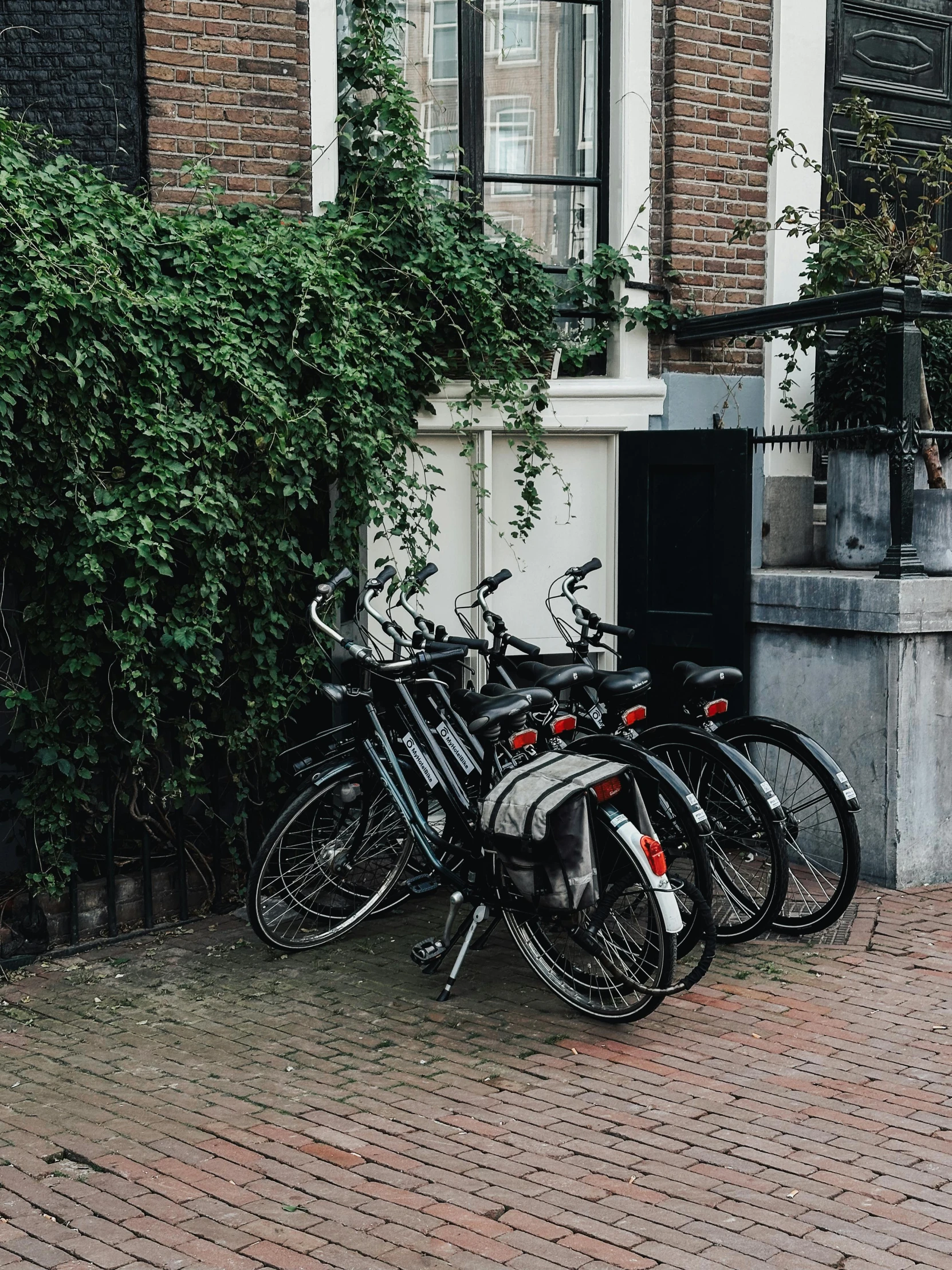 a row of bicycles are sitting on the brick sidewalk