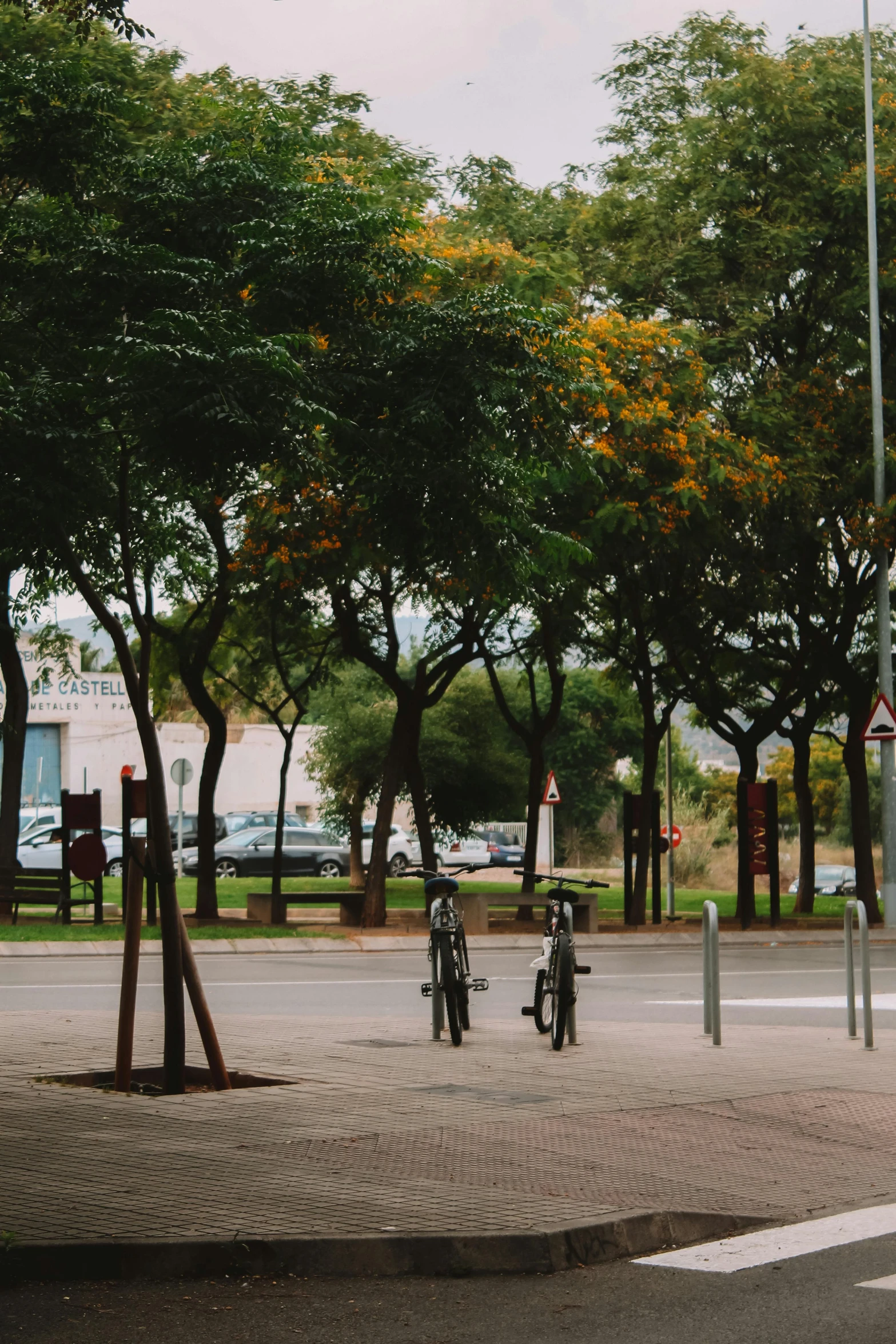 there are two people sitting on bikes in front of trees