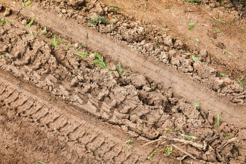 a couple of dirt tracks in the ground