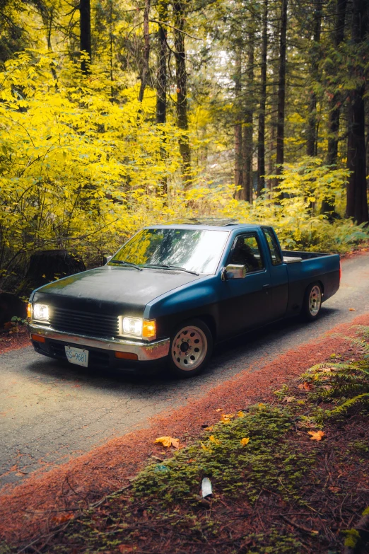 the blue truck is parked on the side of the road