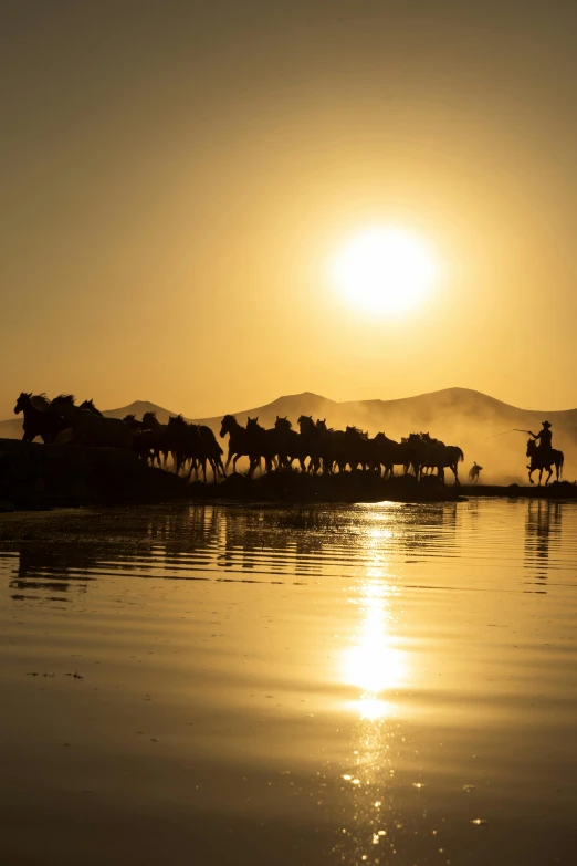 the sun sets on horses as they travel across a body of water