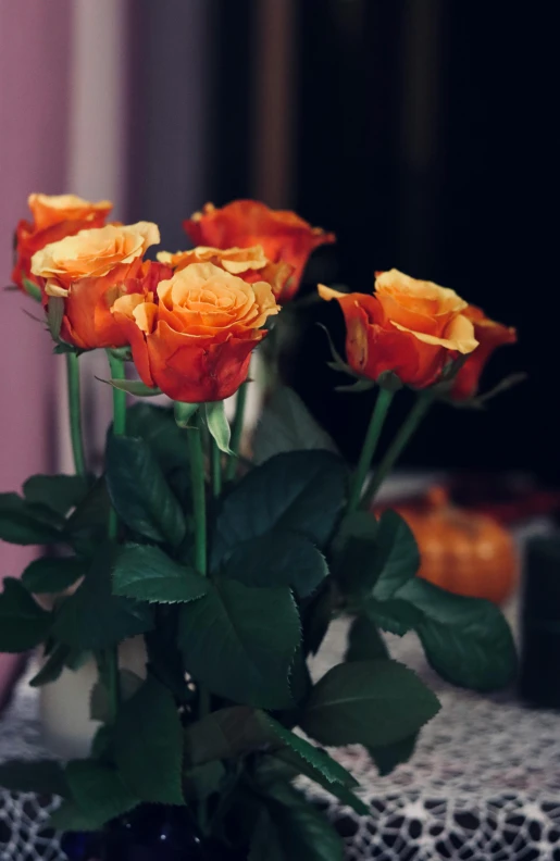 five roses in a glass vase sitting on top of a table