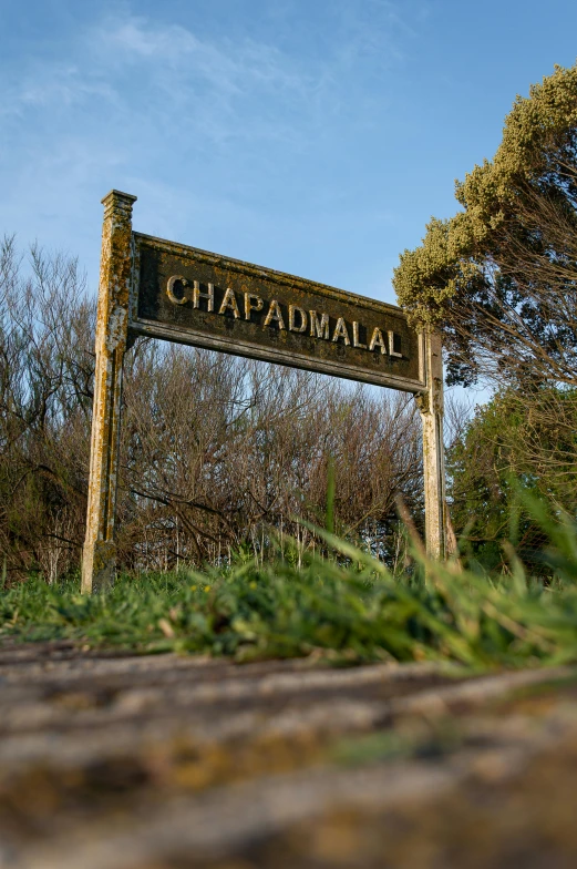 a close up of a sign near a field