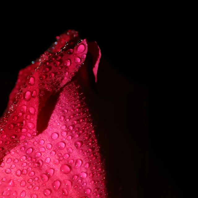 an up close image of water droplets on a clothing