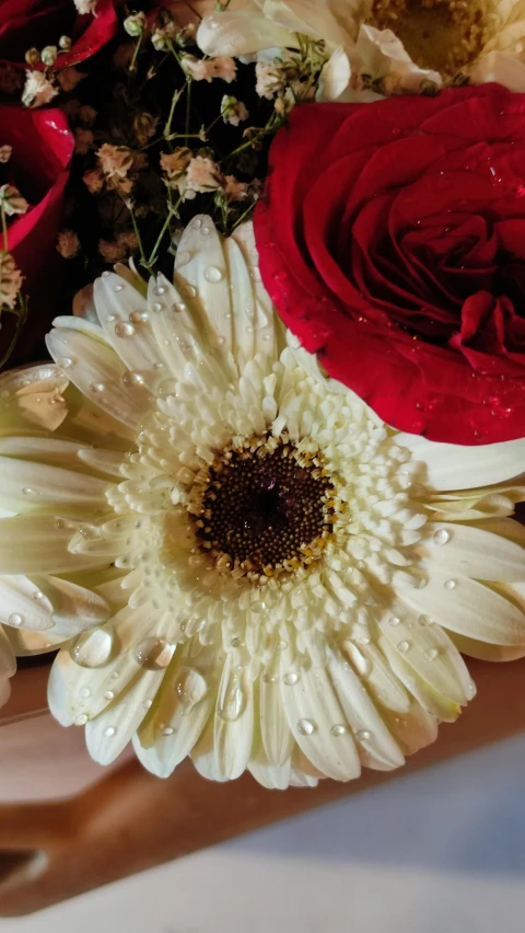 a closeup of flowers on a table with dew droplets