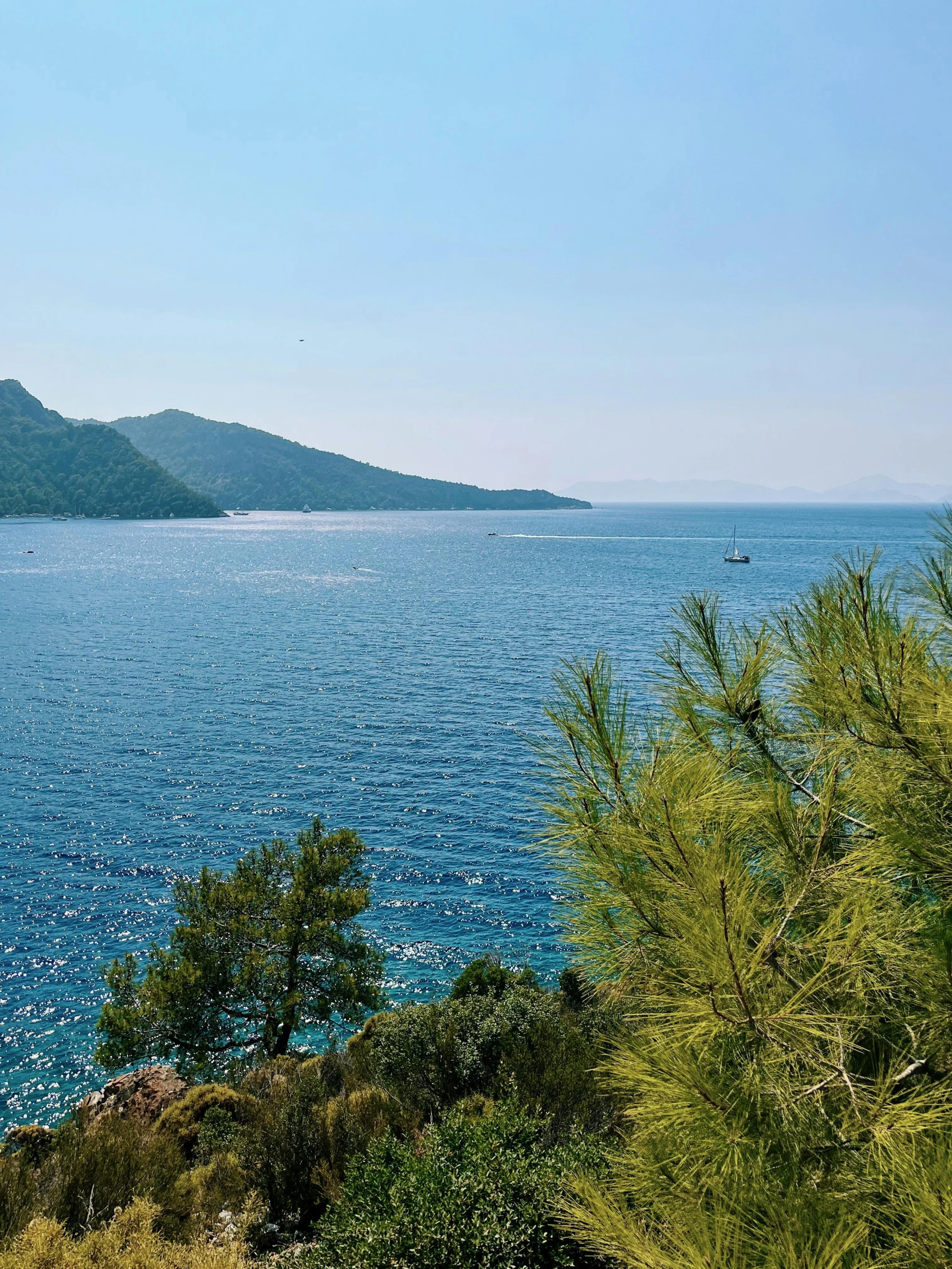 a body of water surrounded by trees