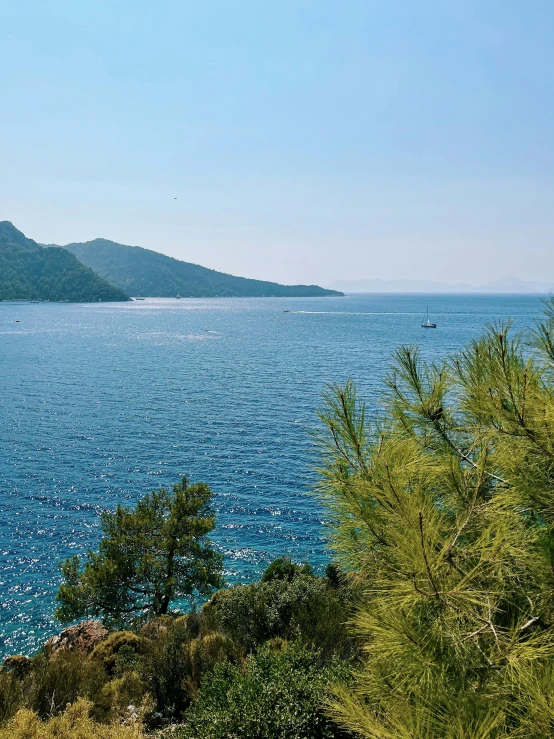 a body of water surrounded by trees