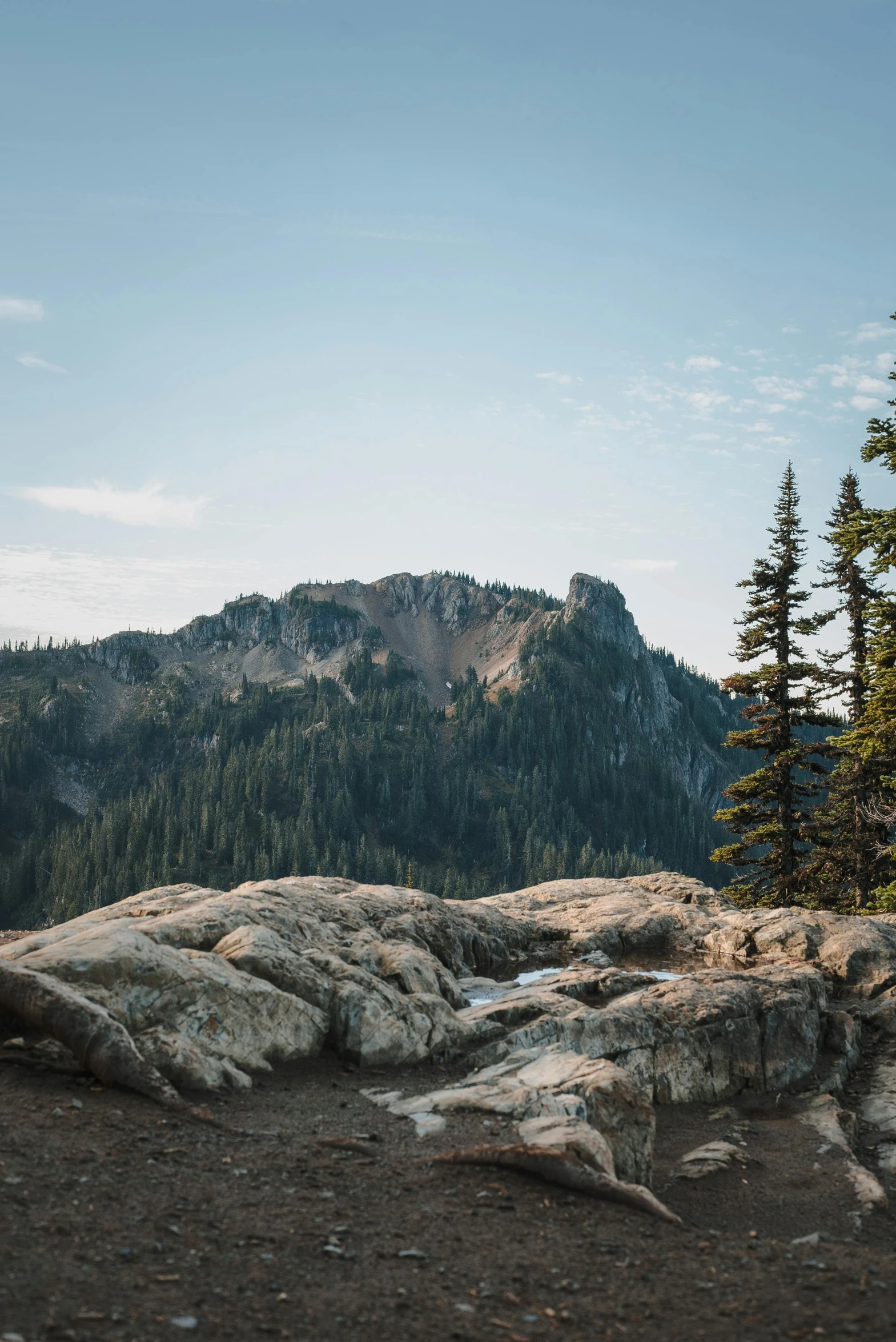 the view of a mountain range with several trees in the foreground