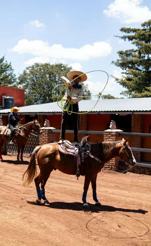 a woman on a horse with lasso on her head