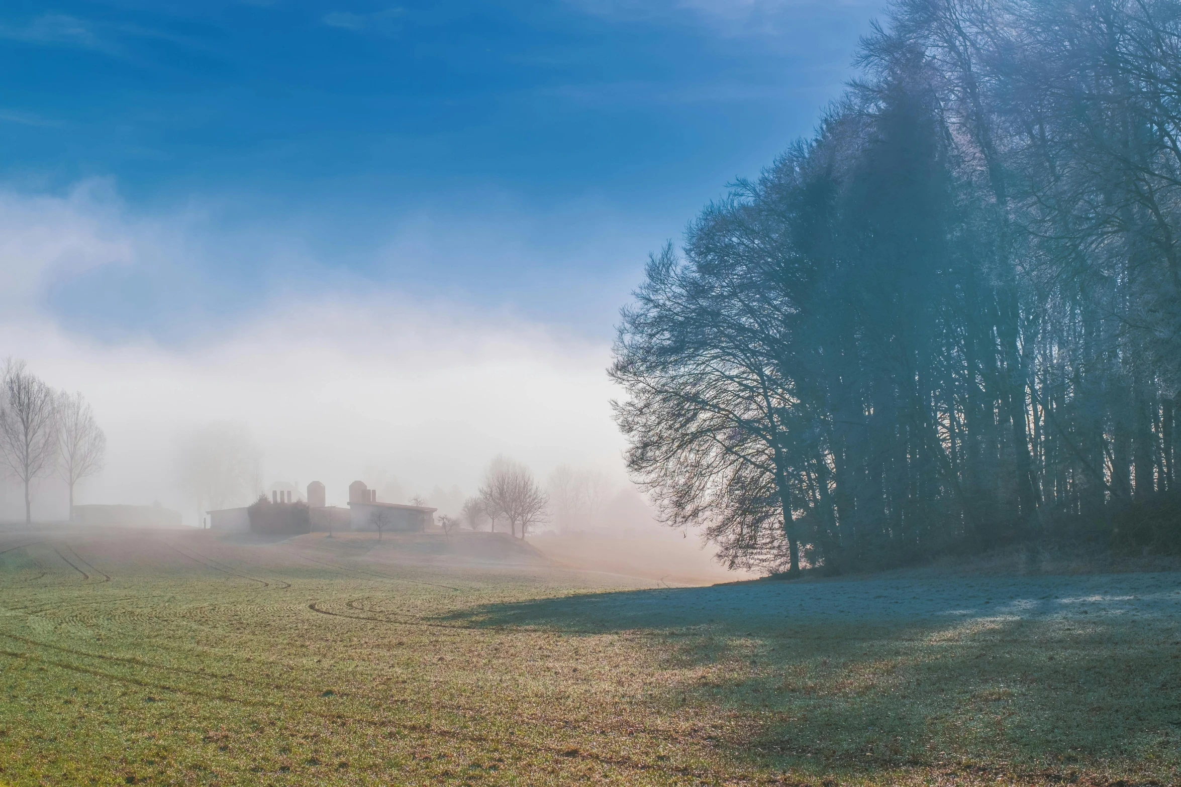 the old house sits alone in a foggy field