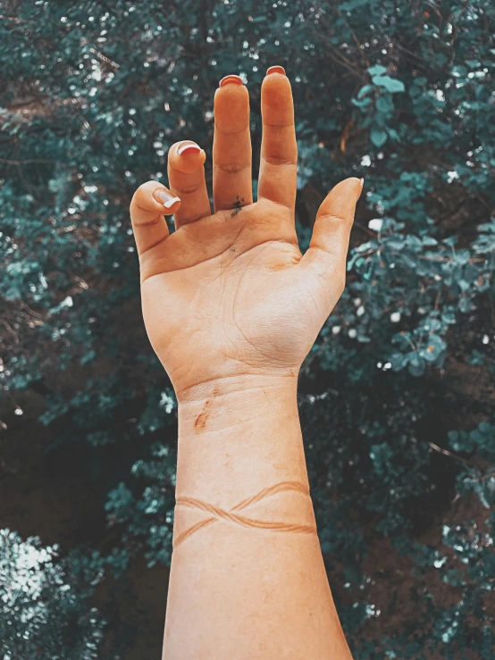 a person's hand in front of a blurry tree