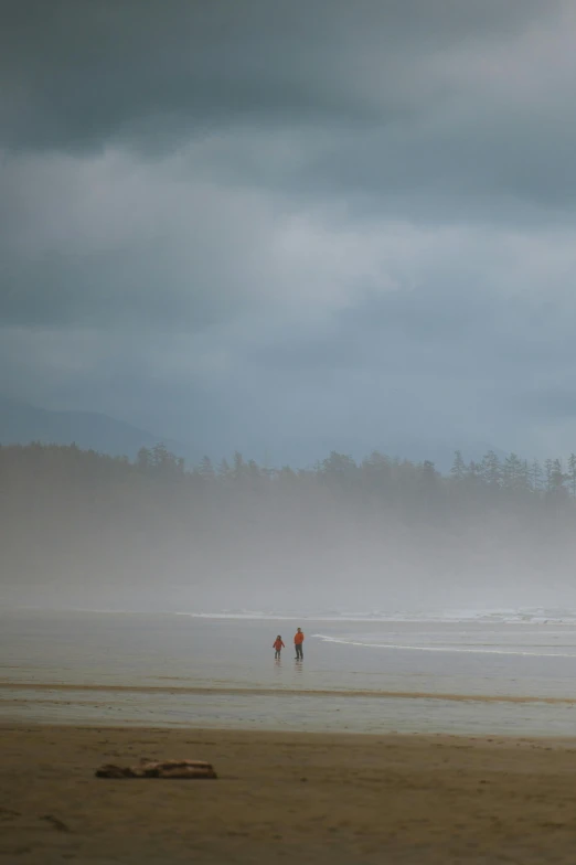 a couple of people on a wet beach in the fog