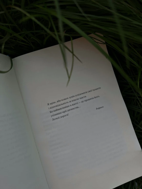 the book is open in the grass and there are words on it