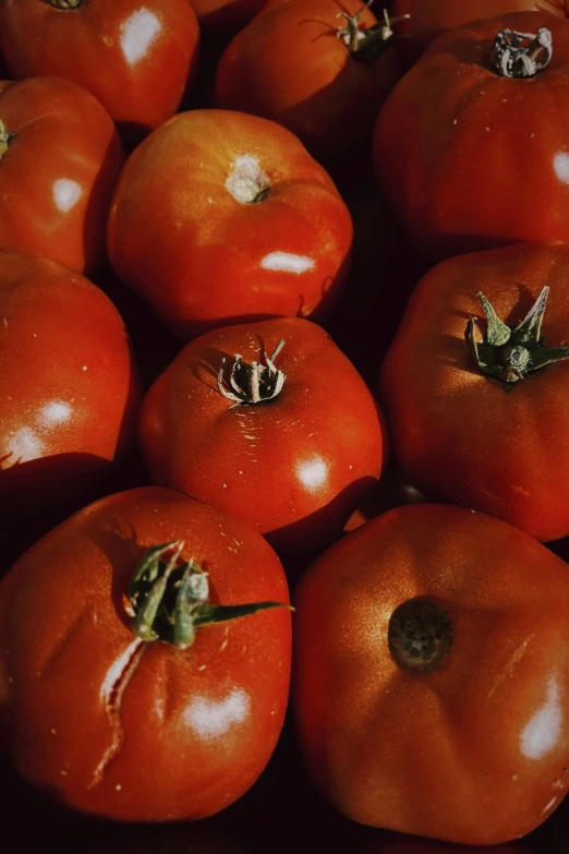 the tomatoes have been ripe in a lot