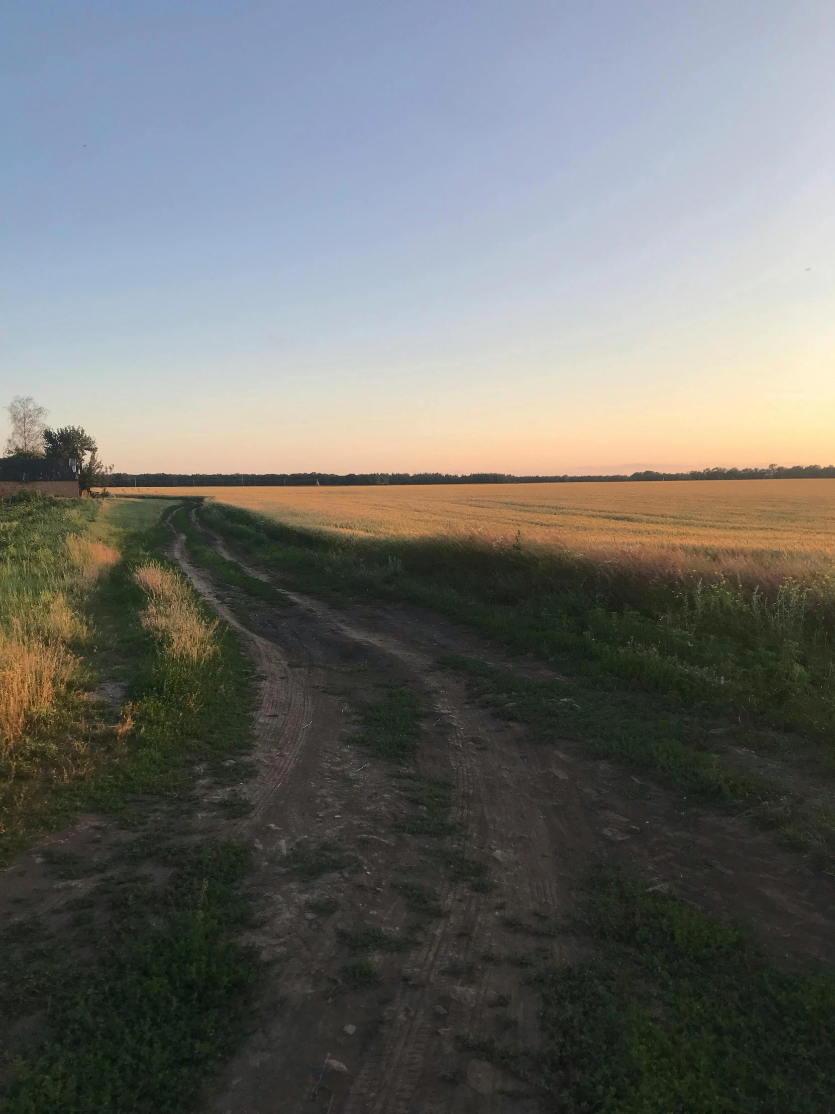 a dirt road leading to an open field