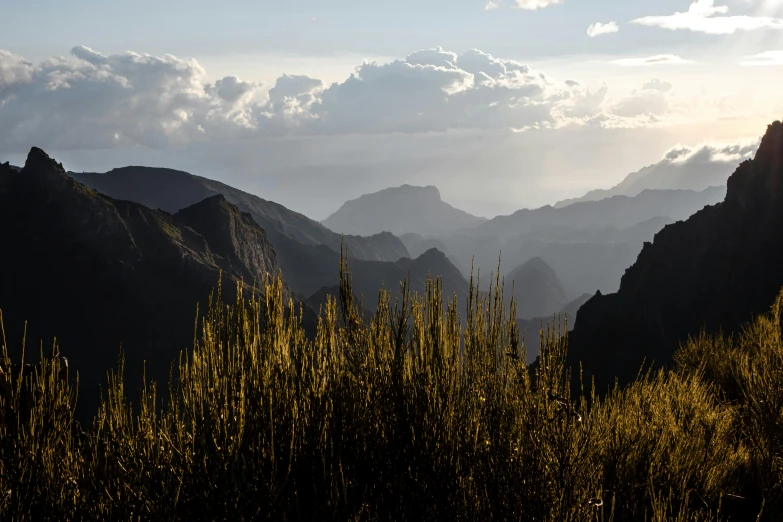 the mountain range is full of vegetation at sunset