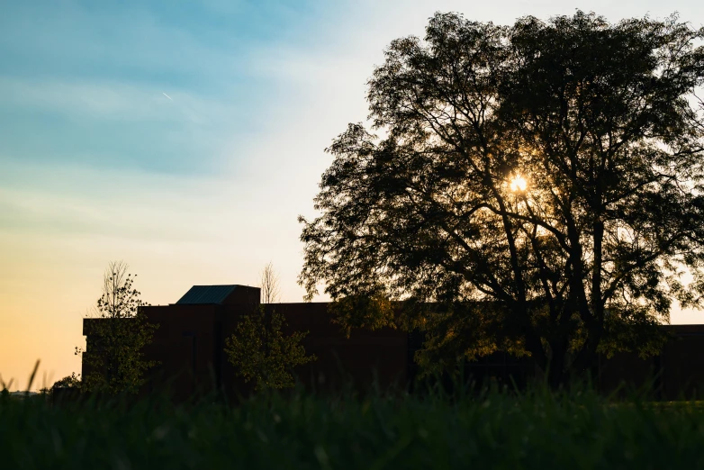 the sun peeking out from behind trees on a clear day