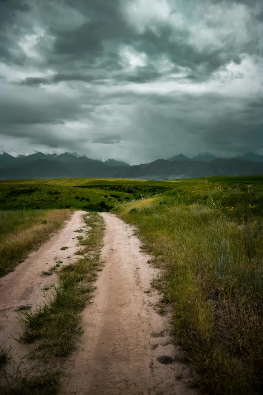 there is an open road on the grass with cloudy skies