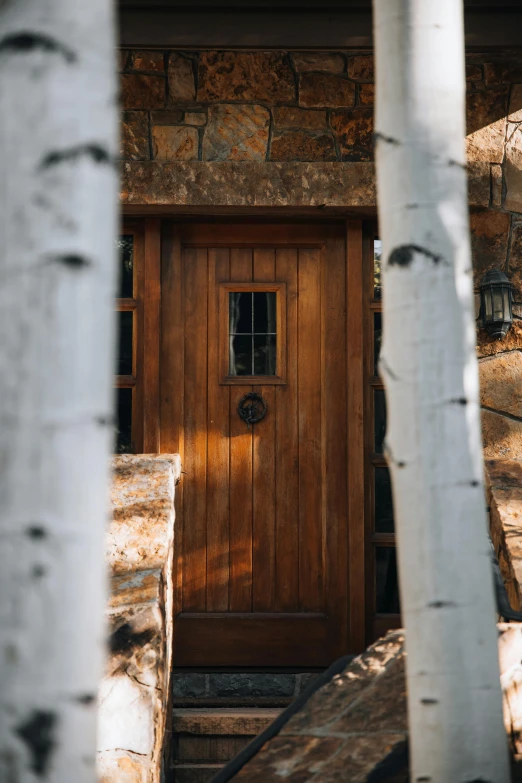 a door is open with a wood look