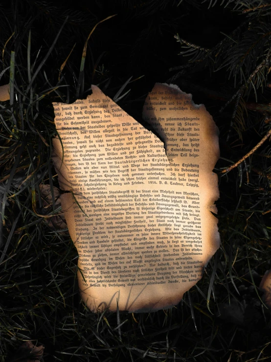 an old rock with writing is shown in the grass