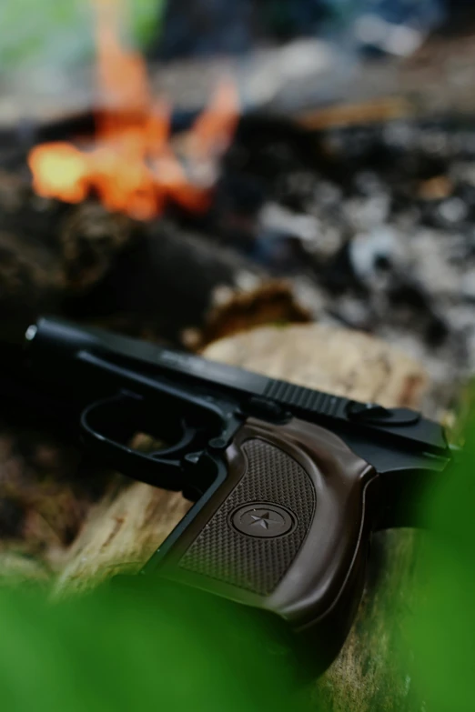 the gun is laying next to some leaves