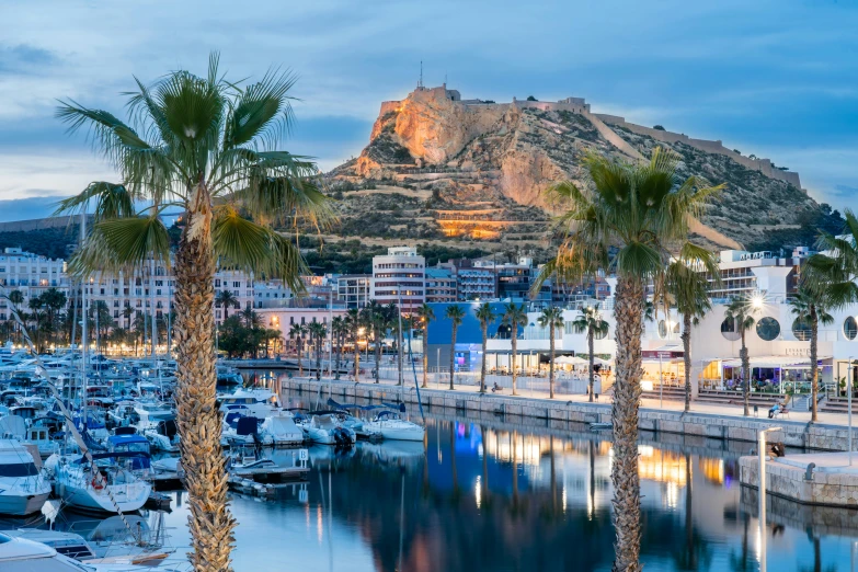 marina in a city with palm trees and mountains in the background