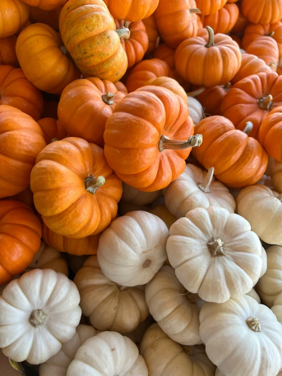 there is a large pile of different pumpkins