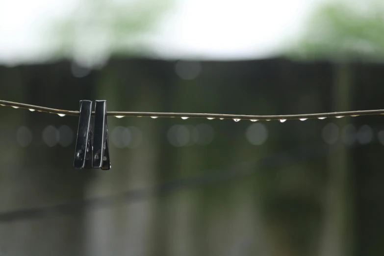 a string with clothes pins and a little bird on it