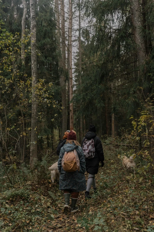 two people in the woods carrying backpacks