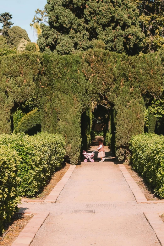 a woman sits on a bench in the middle of a forest