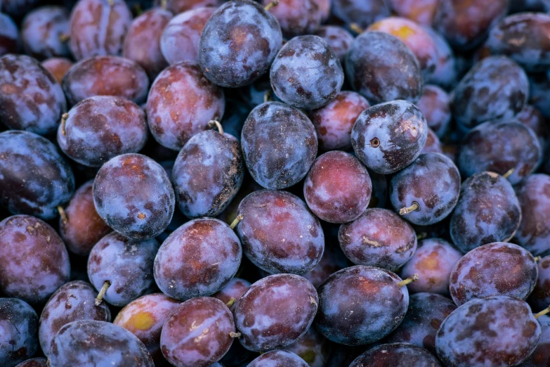 an assortment of plums piled together in a pile