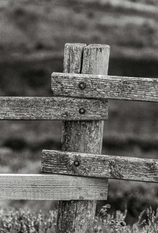 two wooden fences are seen in black and white