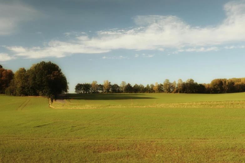 a large grassy field with trees on each side of it