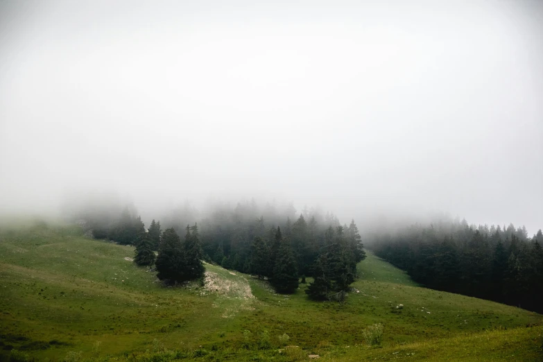 a lush green field with lots of fog rolling in