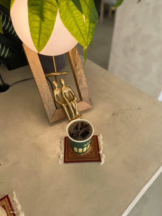 a small plant on a small table