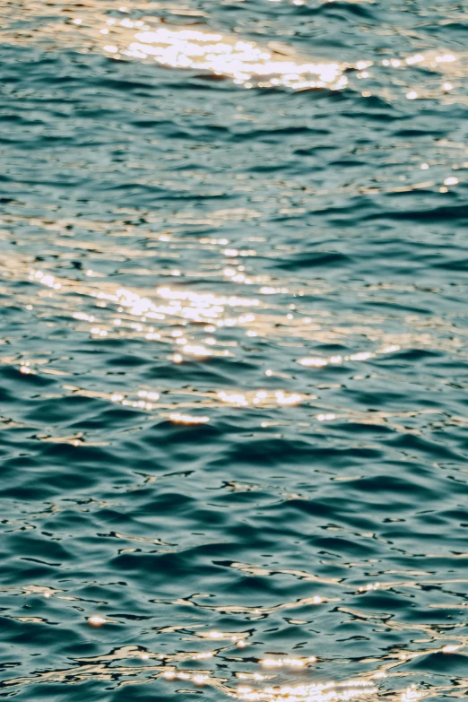 sun reflecting off the water on a sunny day