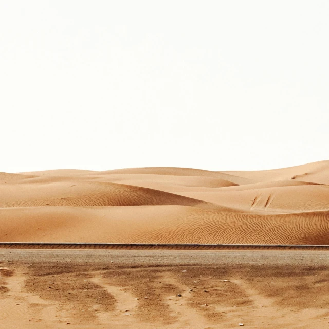 a lone horse stands alone in the desert