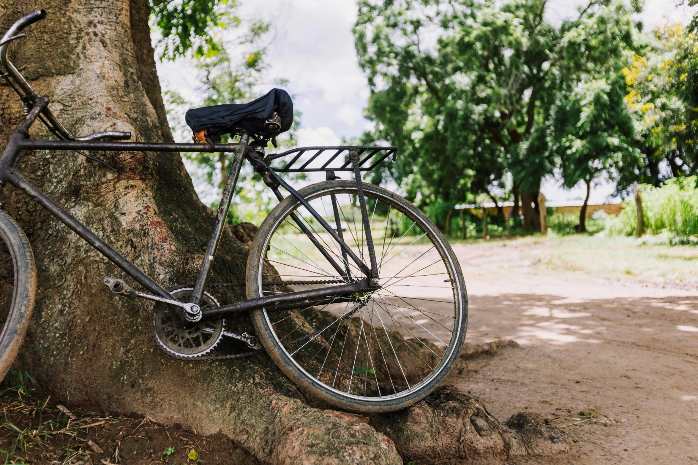 a bike parked next to a tree in the forest