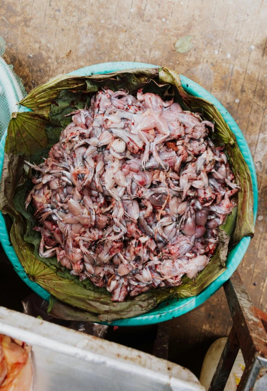 a blue basket filled with meat sitting on top of a counter