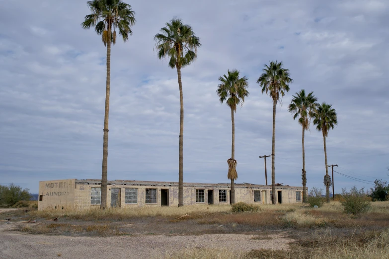 old dilapidated building with four palm trees growing in front