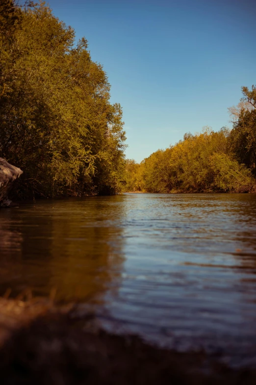 the river is murky with little ripples and green trees