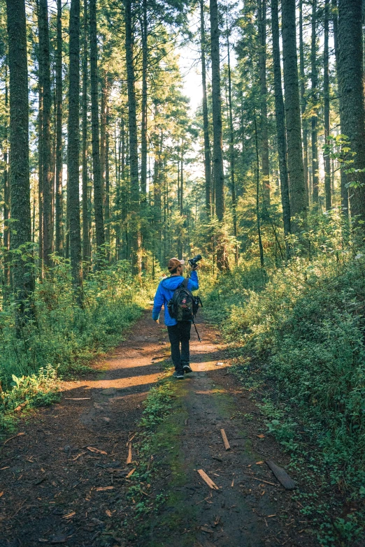 a man hiking up a trail in the woods