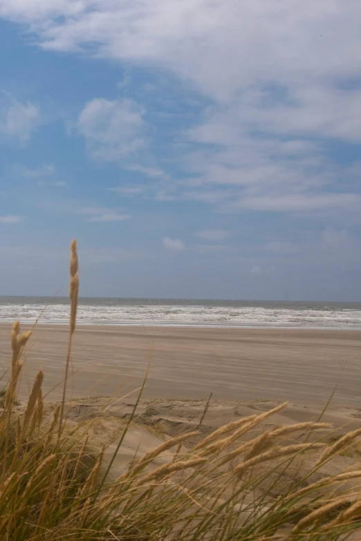 a blue sky is visible over the beach and sea