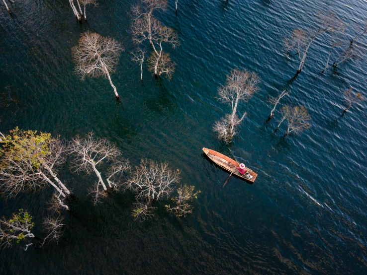 a boat floating on top of a lake surrounded by trees