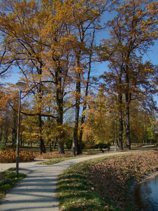 a street and bridge in a park with a pond