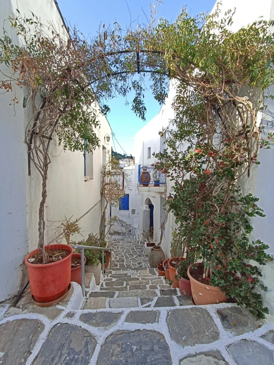 the street in front of some building has potted trees